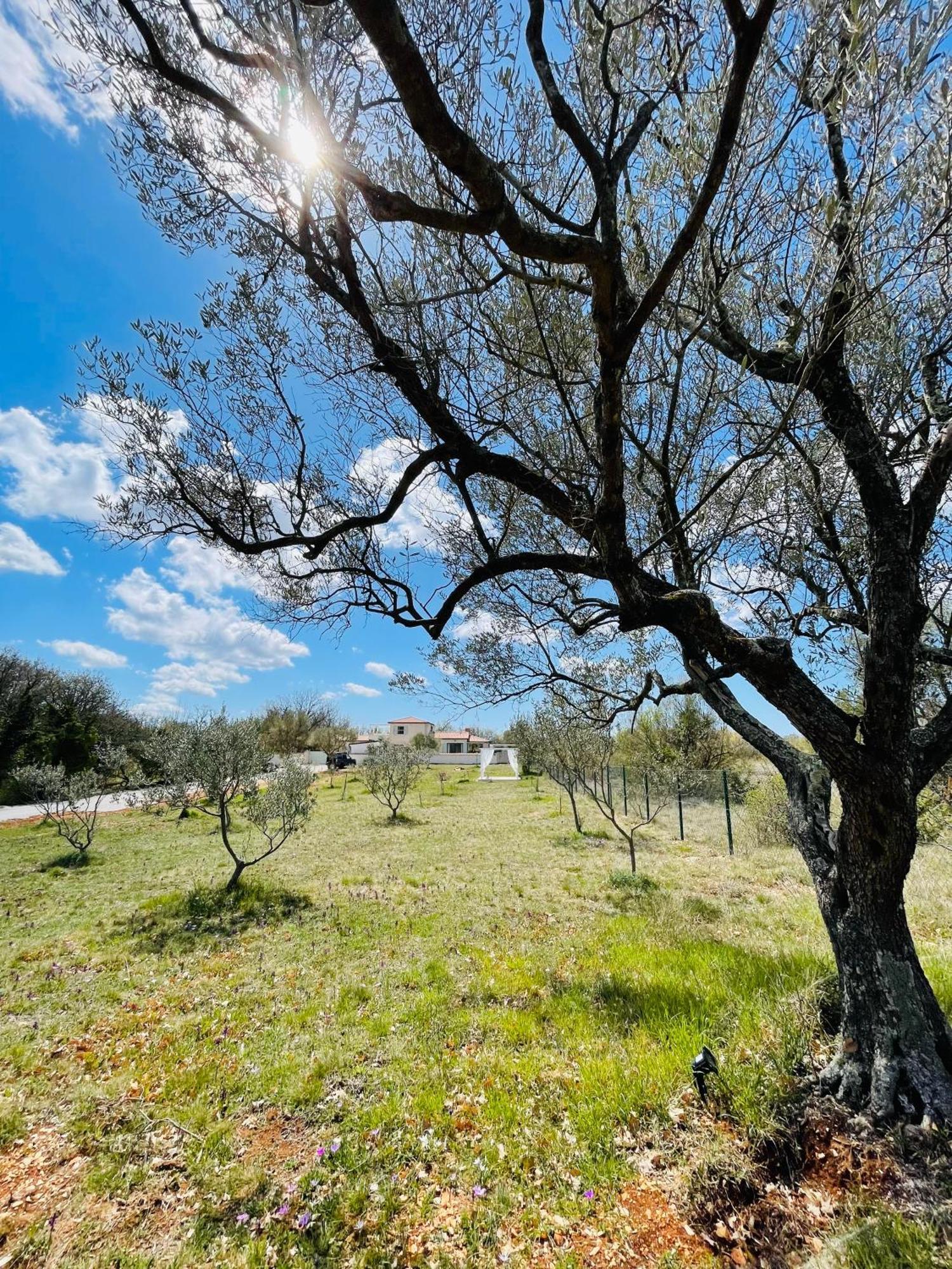 Luxury Villa In Istria - 9,000 Sqm Private Estate With Pool & Sauna, 15 Min To Sea, Near Fazana, 3 Bedrooms Jursici Экстерьер фото