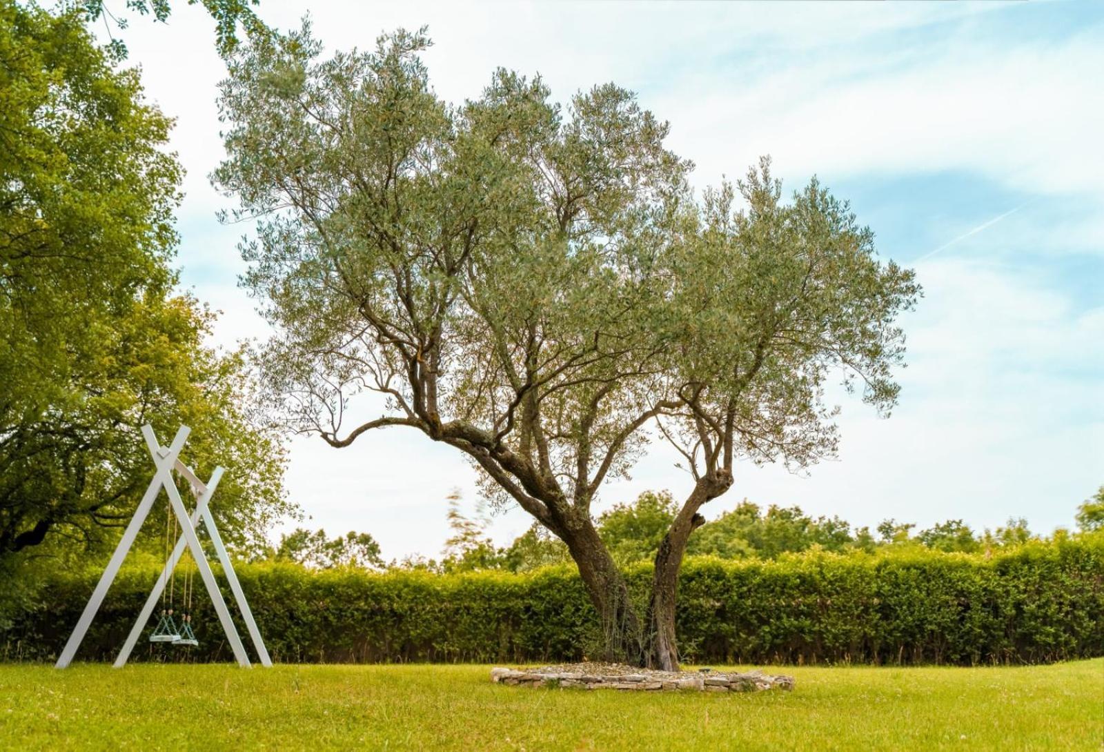 Luxury Villa In Istria - 9,000 Sqm Private Estate With Pool & Sauna, 15 Min To Sea, Near Fazana, 3 Bedrooms Jursici Экстерьер фото